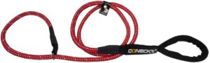 HL C-Edu Vorführlei rot  120cm